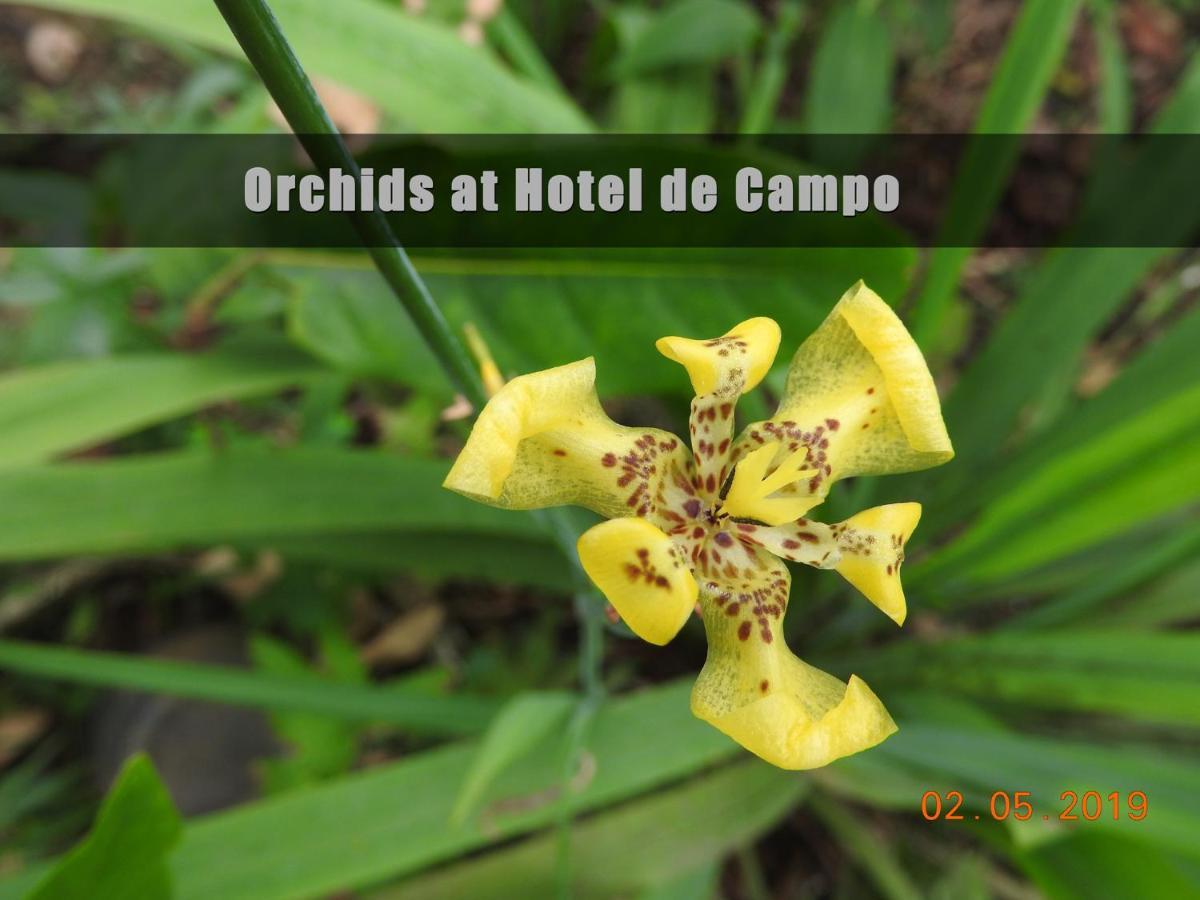 Hotel De Campo Caño Negro Eksteriør bilde