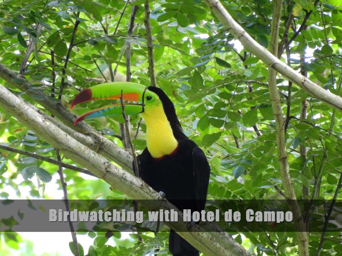 Hotel De Campo Caño Negro Eksteriør bilde